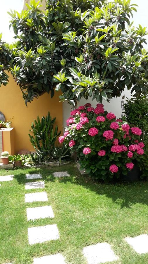 Appartamenti San Vito سان فيتو المظهر الخارجي الصورة